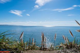 Oakland - Photo 1 of 1