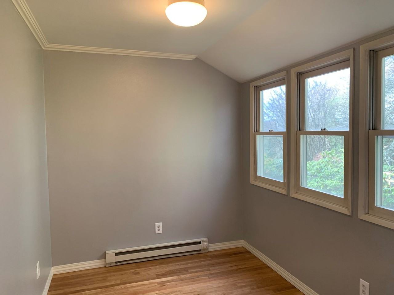 1161 Larch St - Photo 5 of 11