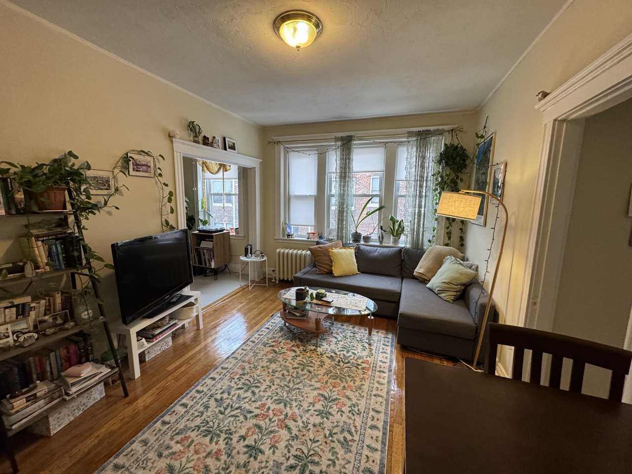 236 Kelton St #6