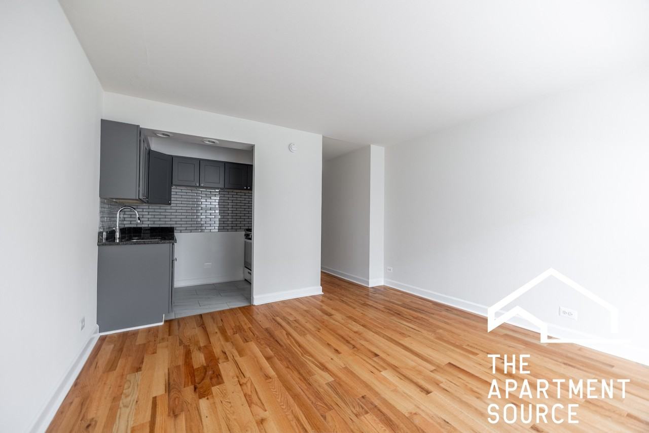 6830 N Sheridan Rd #254 - Photo 6 of 14