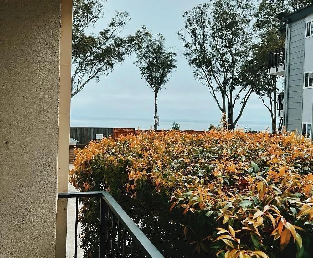 825 Balboa Ave #107 - Photo 6 of 24