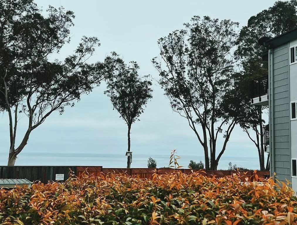 825 Balboa Ave #107 - Photo 7 of 24