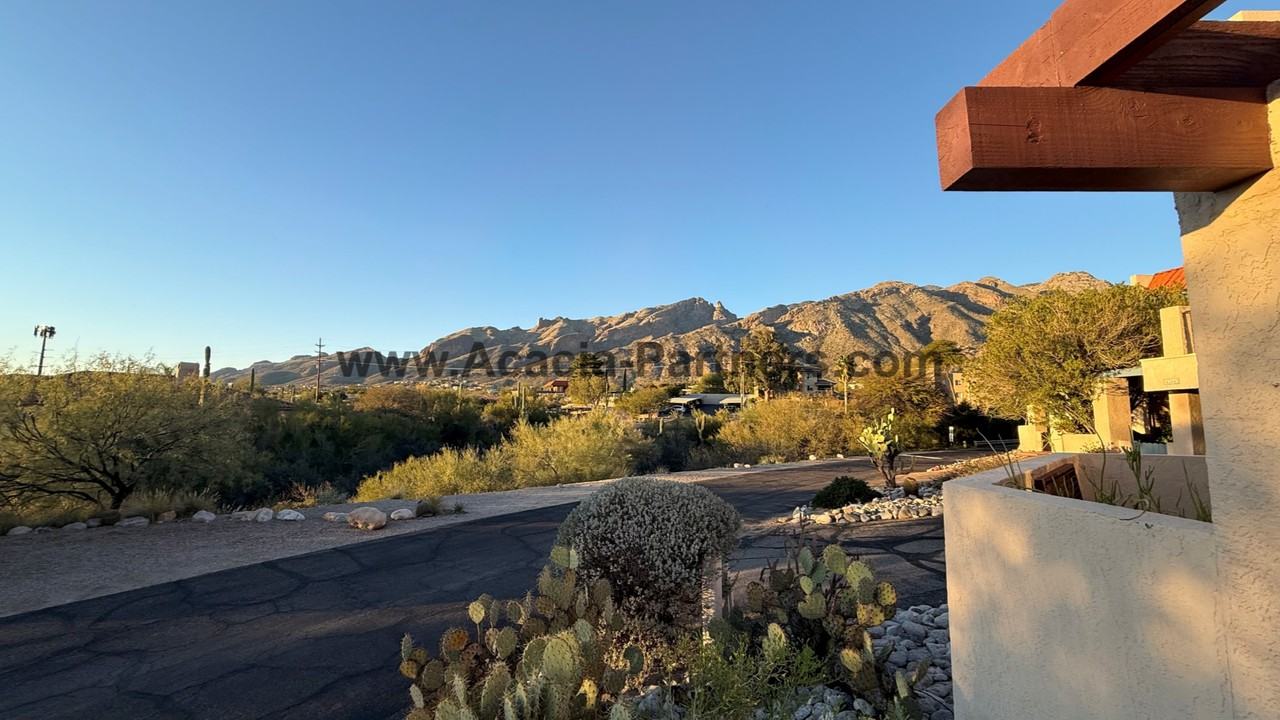 6360 N Camino Los Mochis - Photo 3 of 34