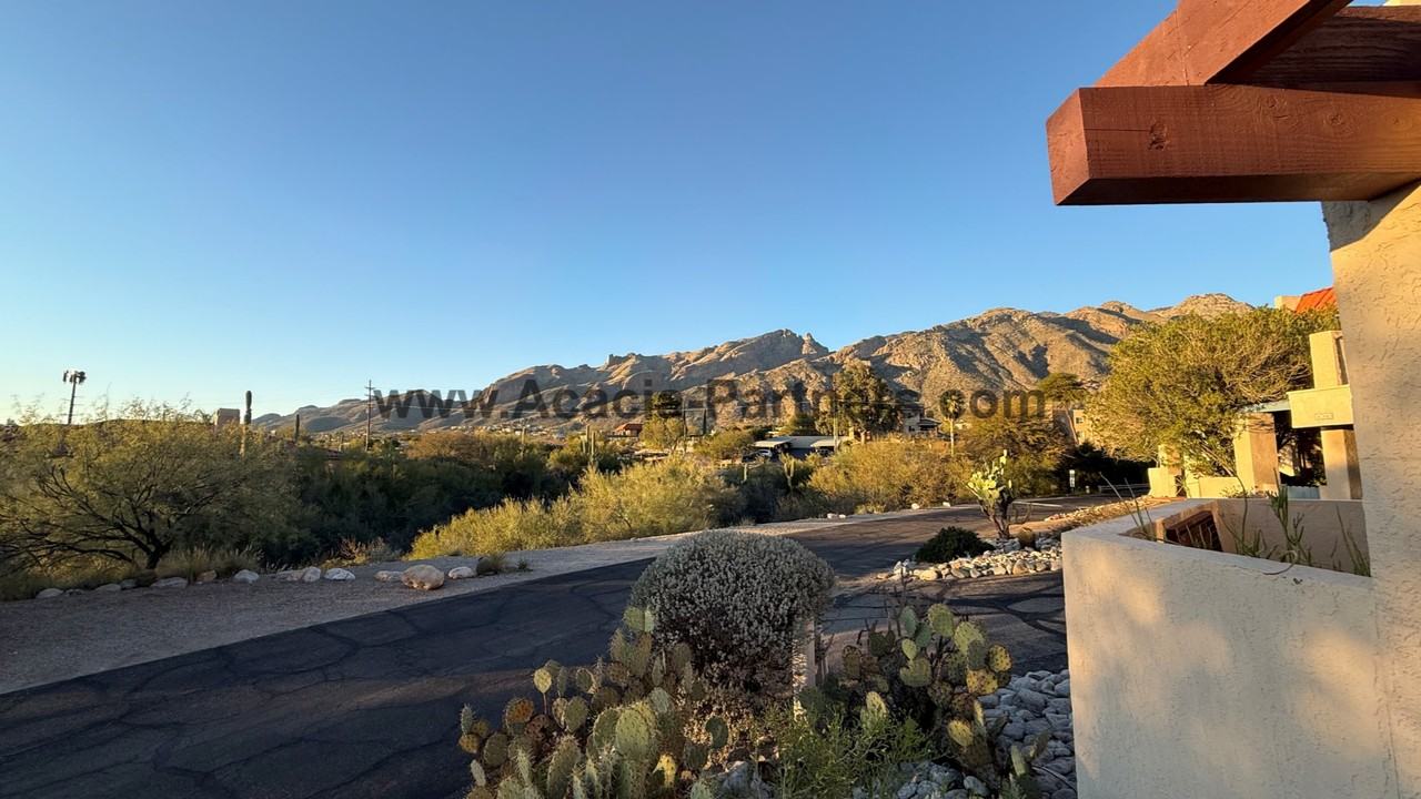 6360 N Camino Los Mochis - Photo 4 of 34