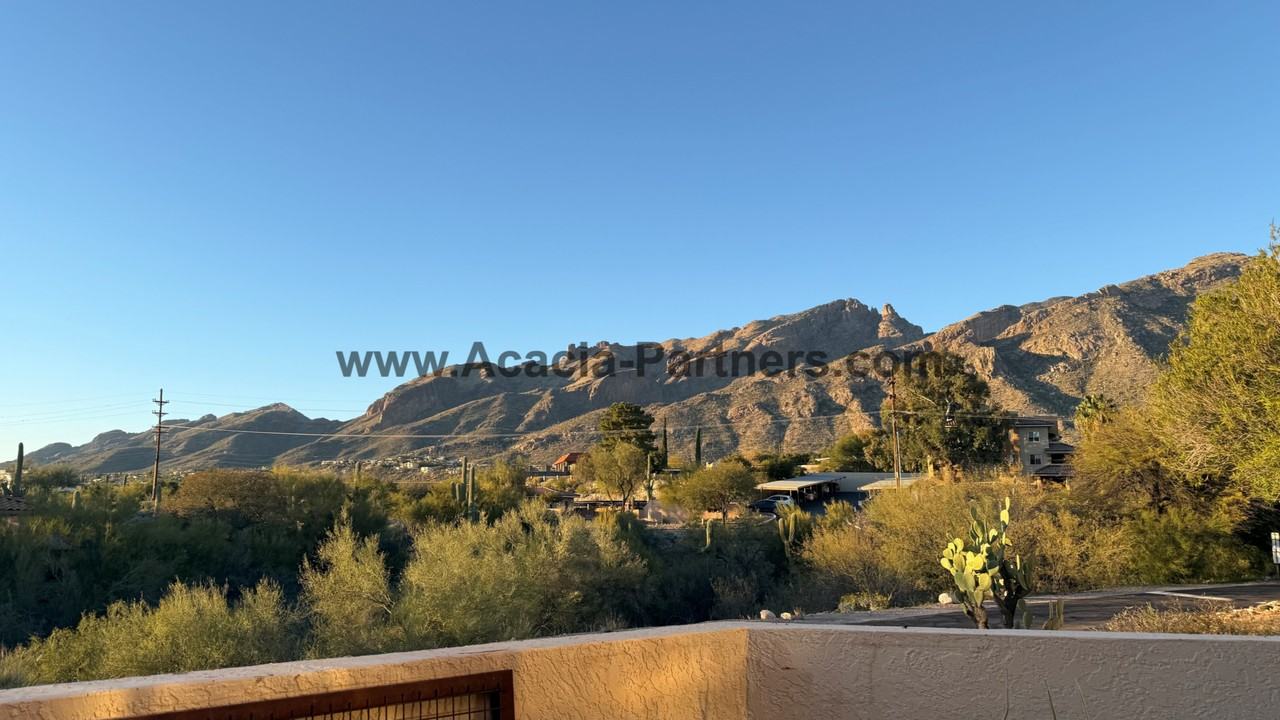 6360 N Camino Los Mochis - Photo 7 of 34