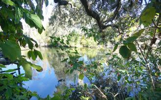 1424 E Park Cir - Photo 1 of 1