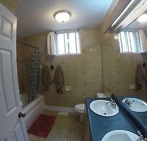 3517 Rue Saint-Urbain - Photo 2 of 11