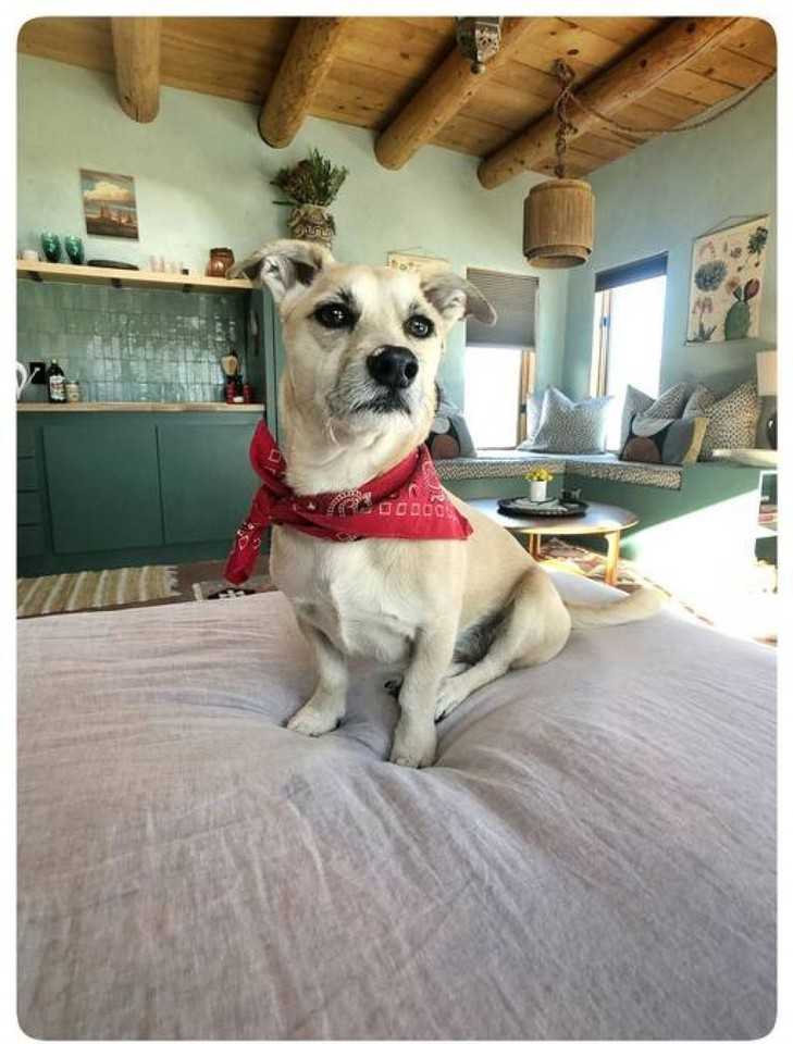 750 Chicoma Vis #1326842P - Photo 3 of 30