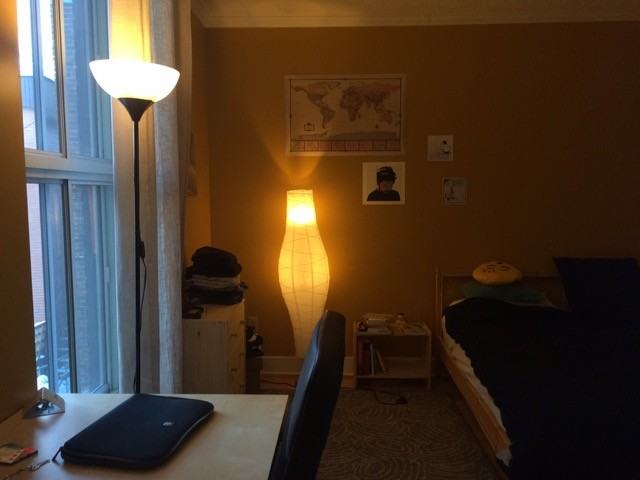 3517 Rue Saint-Urbain - Photo 6 of 11