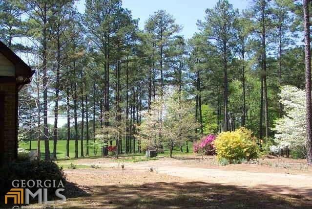 576 Dingler Rd - Photo 3 of 17