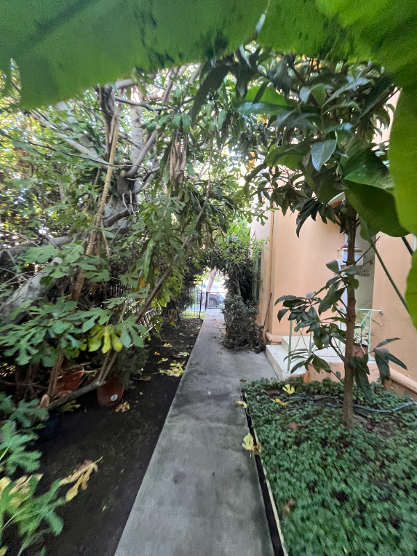 141 1/2 S Sweetzer Ave #141-1-2 - Photo 2 of 20