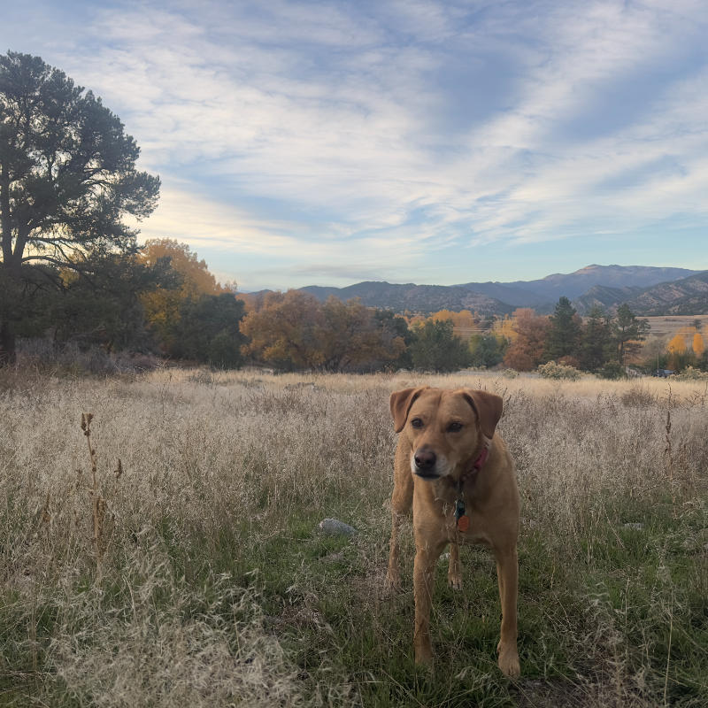 115 Loop Dr - Photo 4 of 5