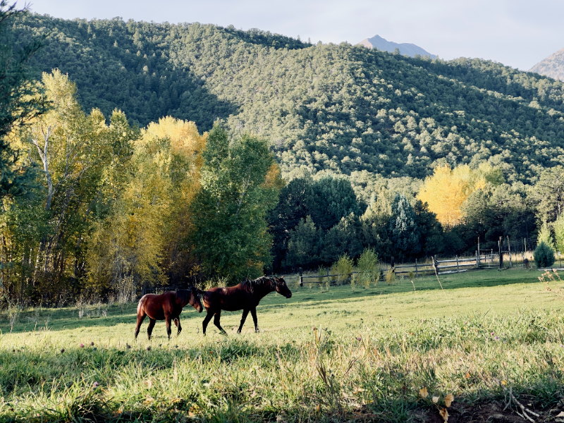 115 Loop Dr - Photo 5 of 5