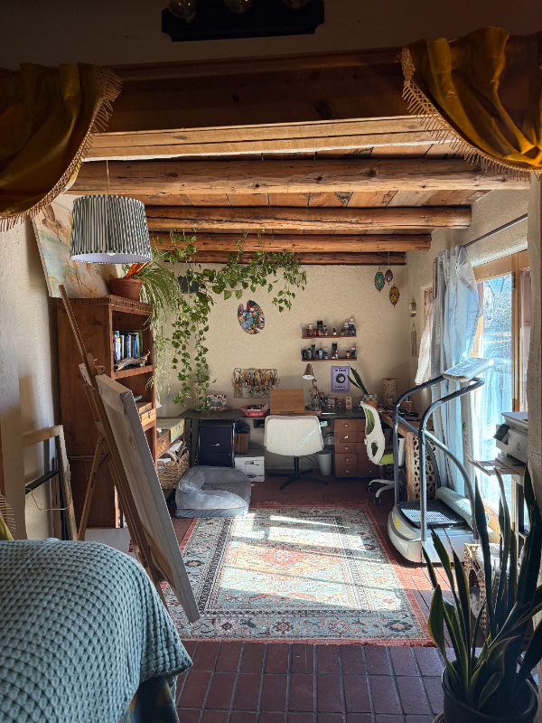 103 Caminoto Montano #1 - Photo 4 of 18