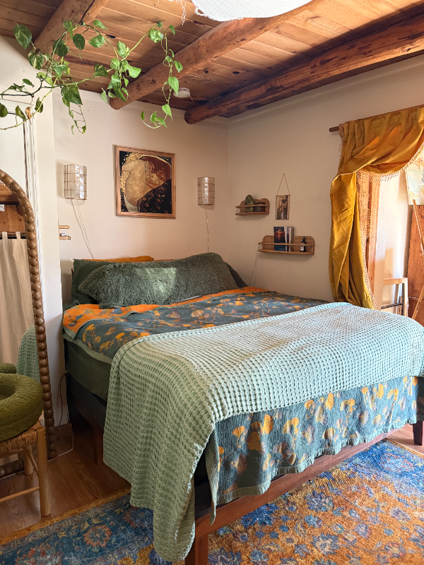 103 Caminoto Montano #1 - Photo 5 of 18