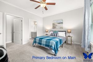 featured image of 3731 Shades Valley Ln #3731