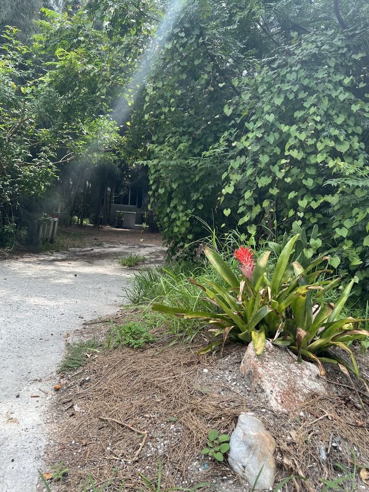 1516 Carmel Ave #NA - Photo 4 of 14