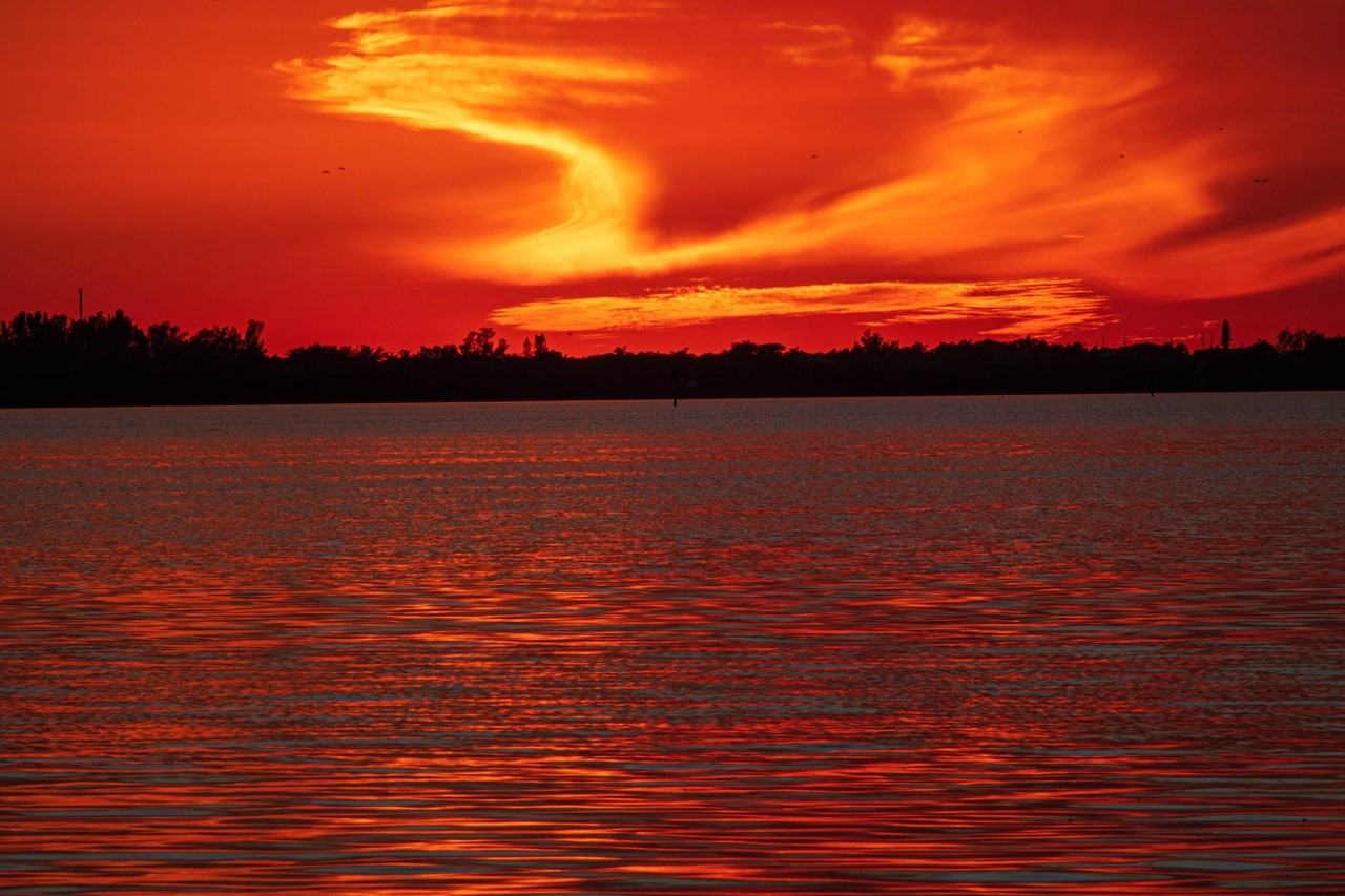 7618 4th Ave W #7618 - Photo 5 of 5