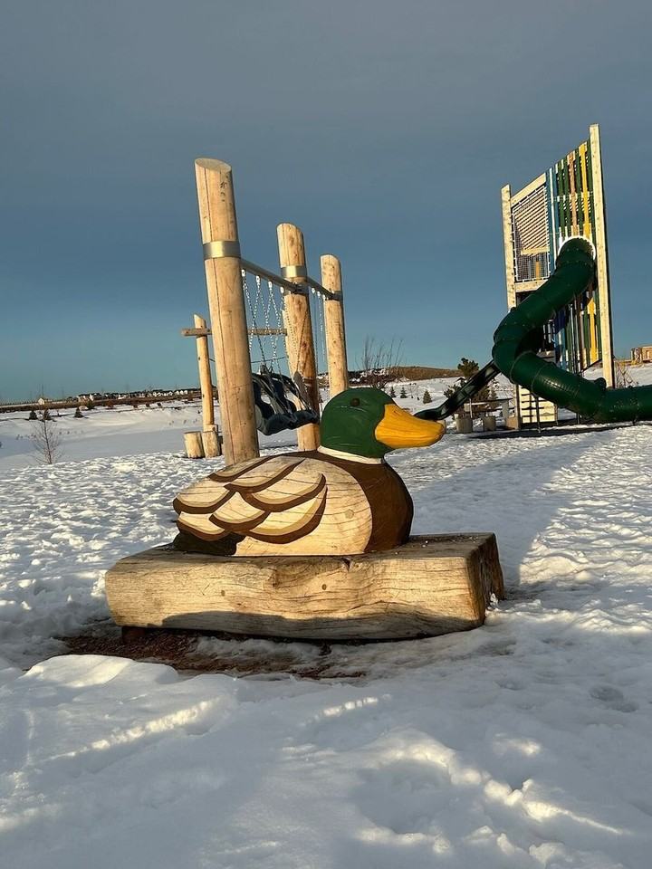 7533 202 Ave Se - Photo 5 of 18