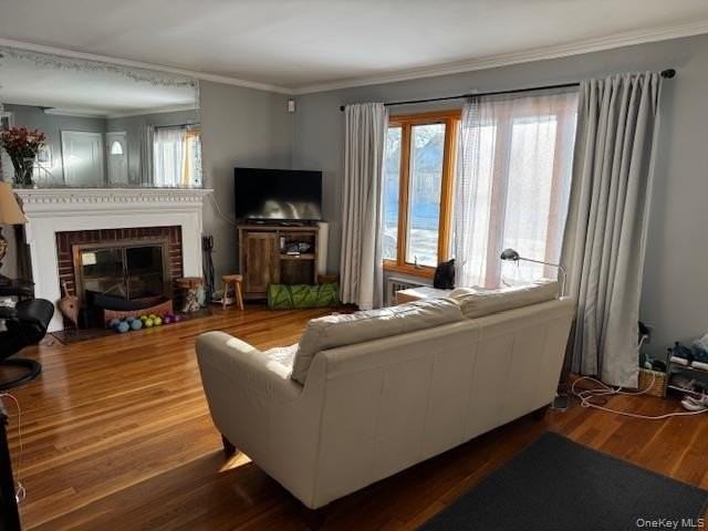 664 Knollwood Dr - Photo 2 of 10