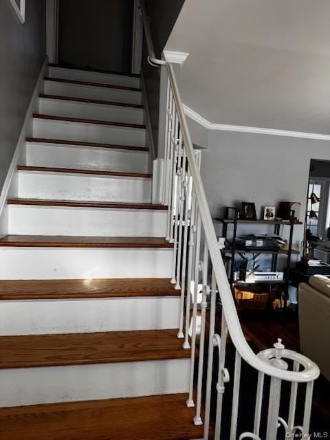 664 Knollwood Dr - Photo 3 of 10