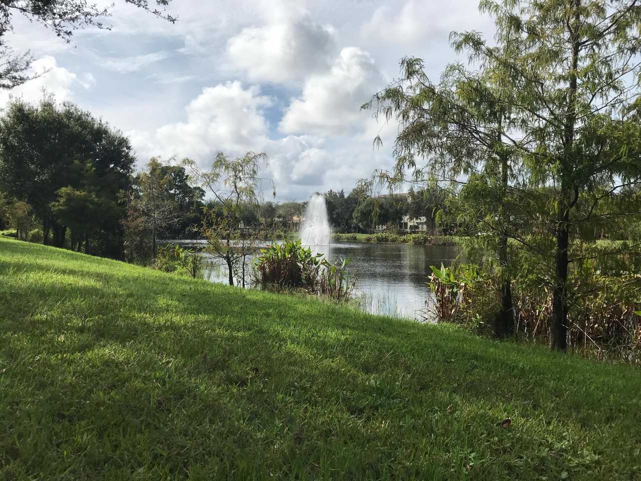 141 E Thatch Palm Cir - Photo 4 of 27