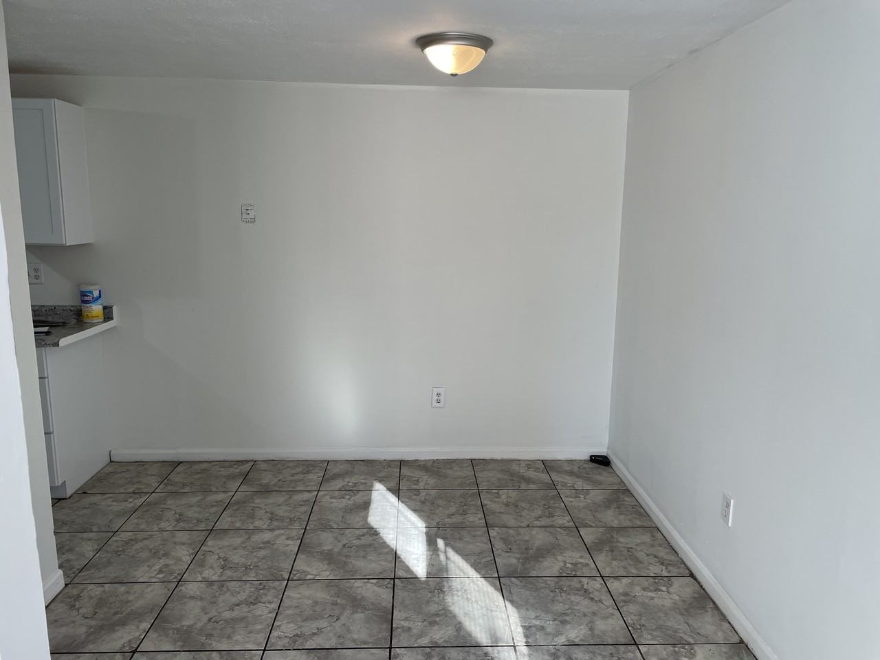 1328 Saint Adalbert Avenue - Photo 4 of 16