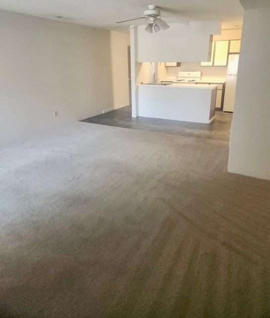 713 713 S. Randoph St. - 22 #22