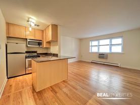 625 W Wrightwood Ave #412 - Photo 1 of 1