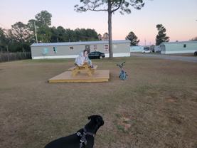 19314 County Road 87 #3 - Photo 1 of 1