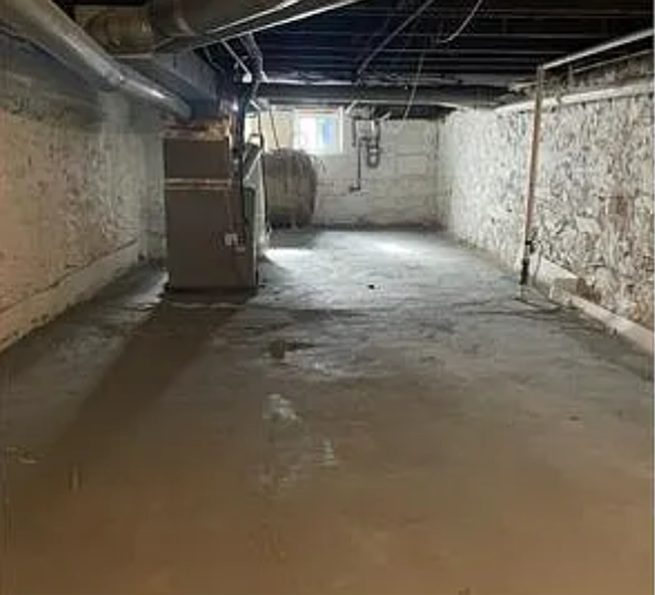 1606 E Biddle St - Photo 7 of 20