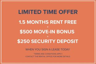 The Nines - Photo 1 of 1