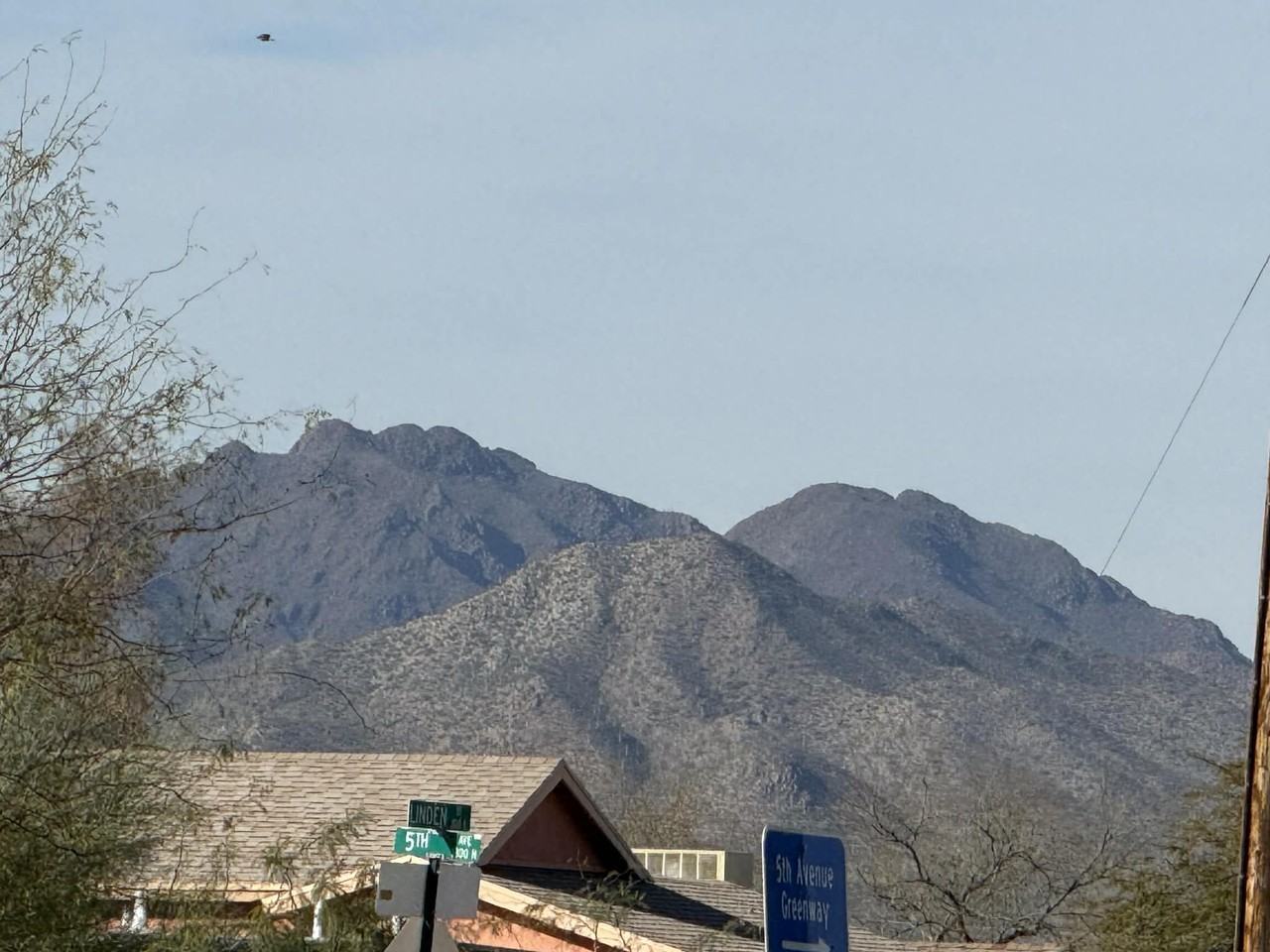 333 E Linden St #1 - Photo 6 of 27