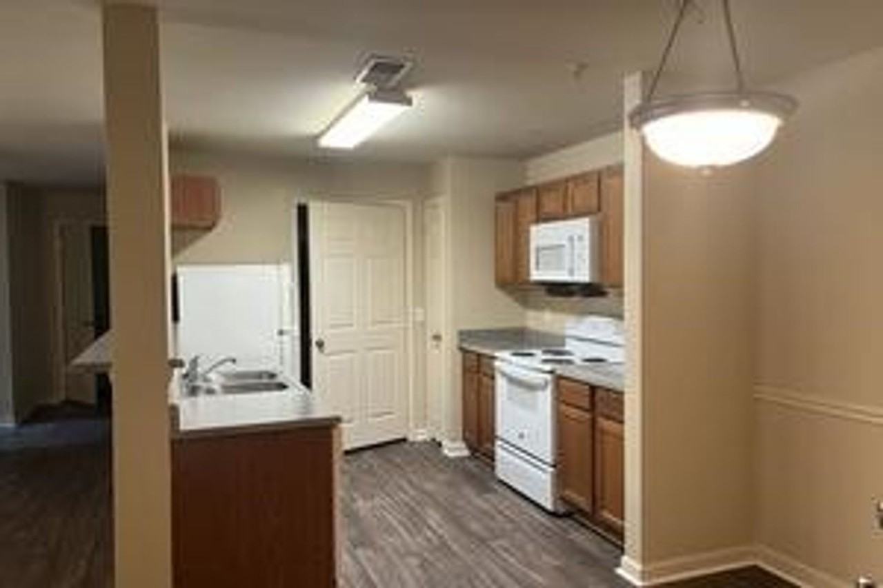 THE WOODS AT WALKER PARK - Photo 3 of 5