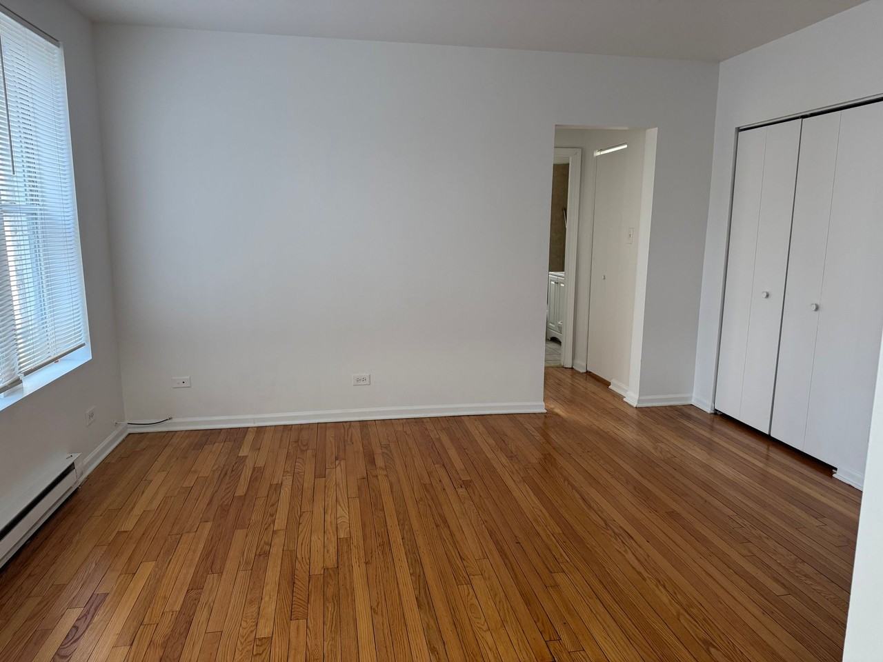 211-17 E 71st Chicago, IL 60619 - Photo 5 of 7