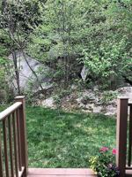 featured image of 337 Mount Support Rd