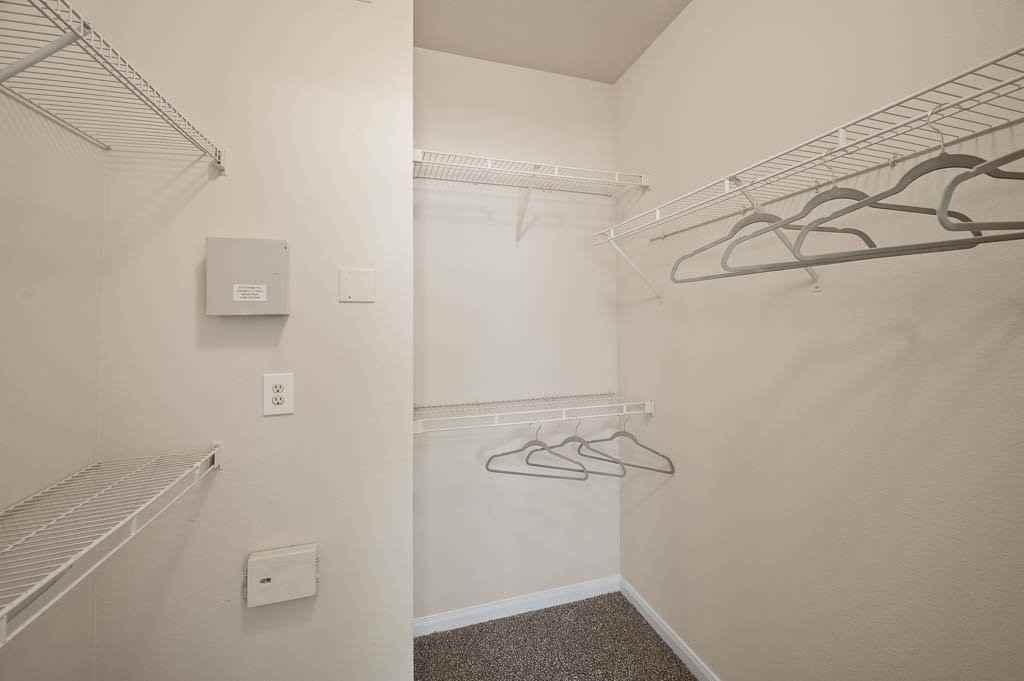 Belterra - Photo 2 of 28