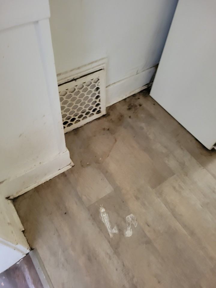 2113 W Howett St - Photo 5 of 50