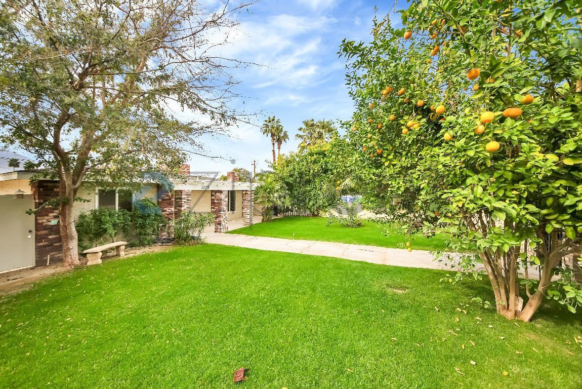 32771 Whispering Palms Trl - Photo 6 of 21