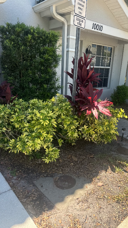 10012 Pacific Pines Ave - Photo 7 of 9