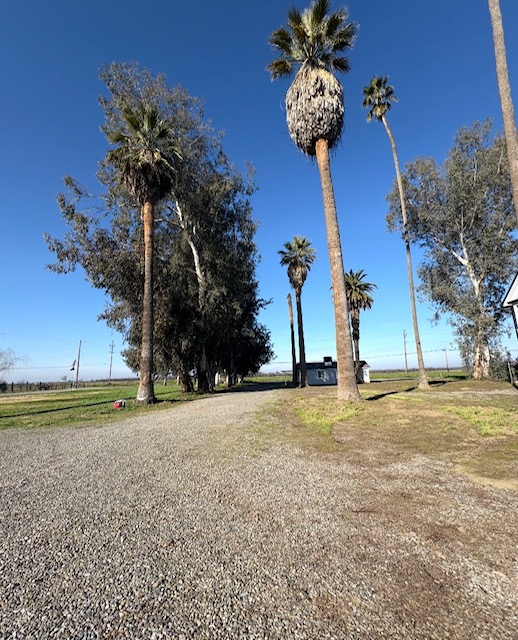 15769 Hanford Armona Rd - Photo 4 of 10