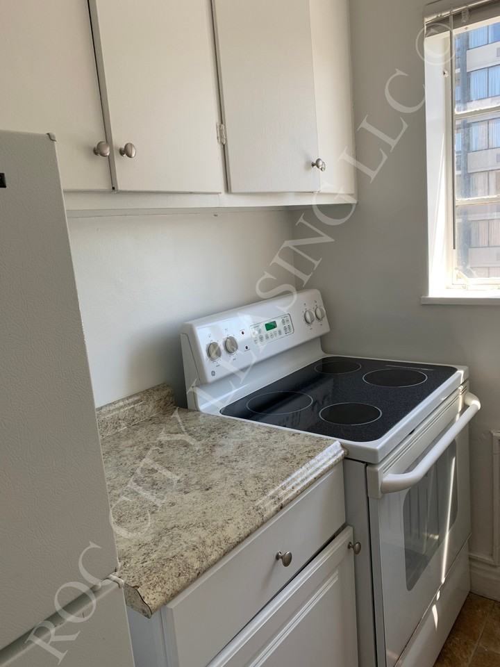 520 East Ave #06SERIES - Photo 4 of 16