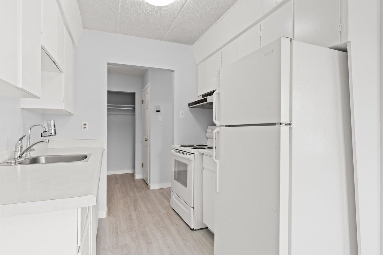 411 Lorne St - Photo 3 of 11