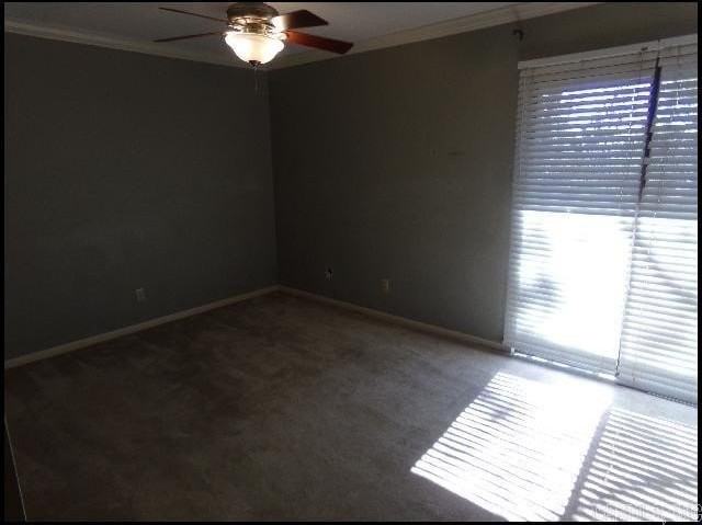 508 Green Mountain Cir - Photo 7 of 11