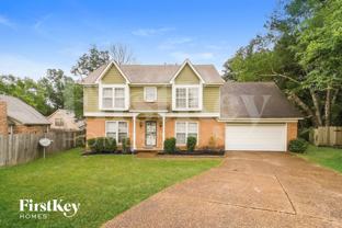 5046 Sweet Cherry Cv - Photo 1 of 1