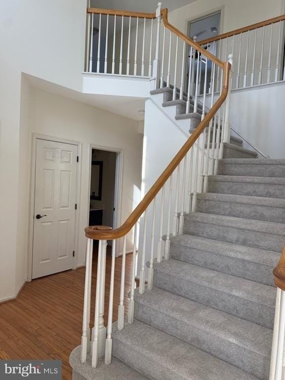 3009 Timothy Trl - Photo 5 of 35