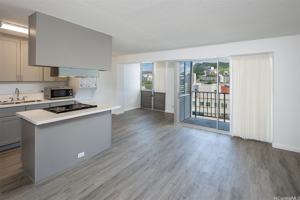 featured image of 818 S King St Apt 1301 #1301
