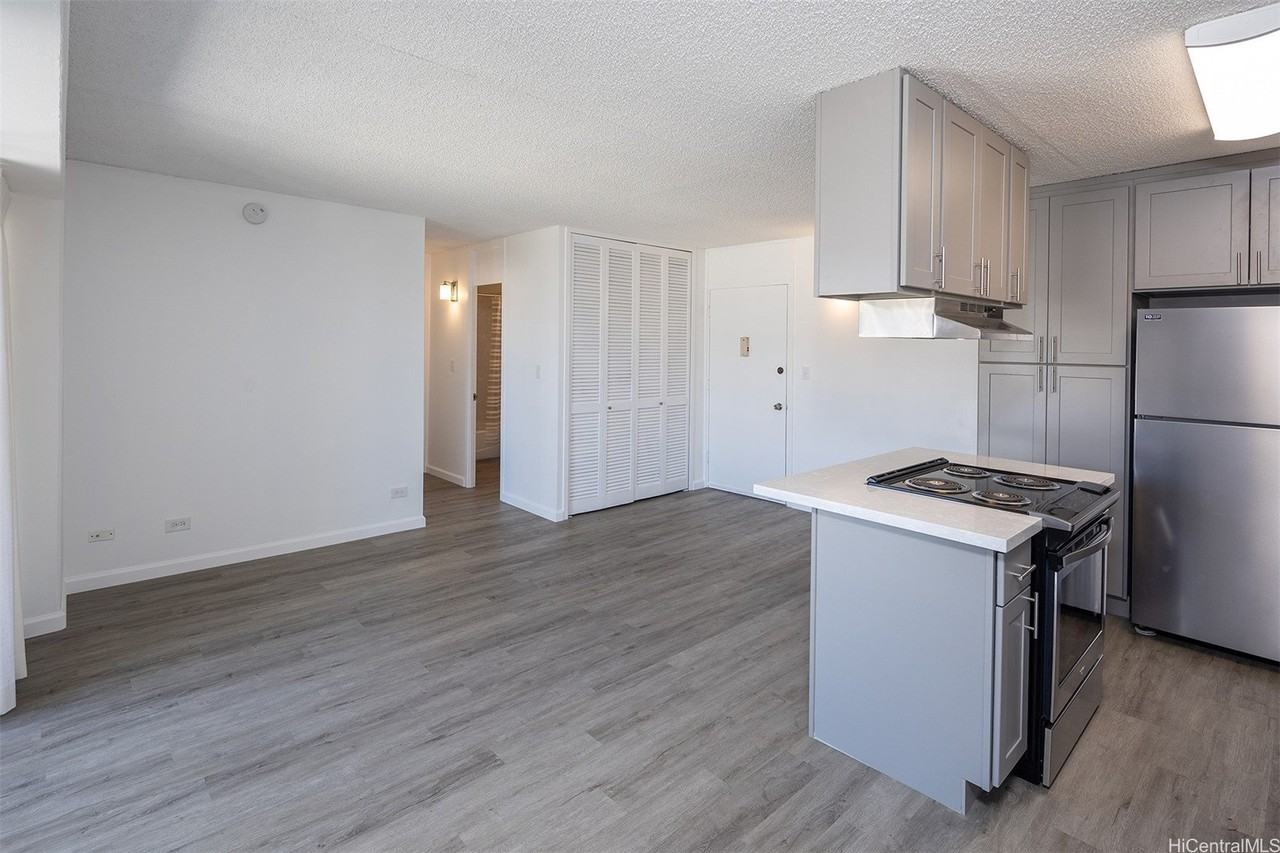 818 S King St Apt 1301 #1301 - Photo 6 of 14