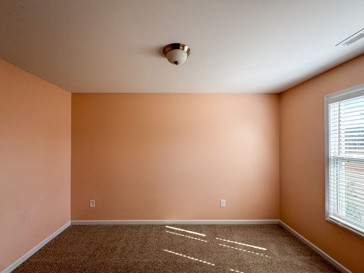 19 Terrier Ct - Photo 3 of 31