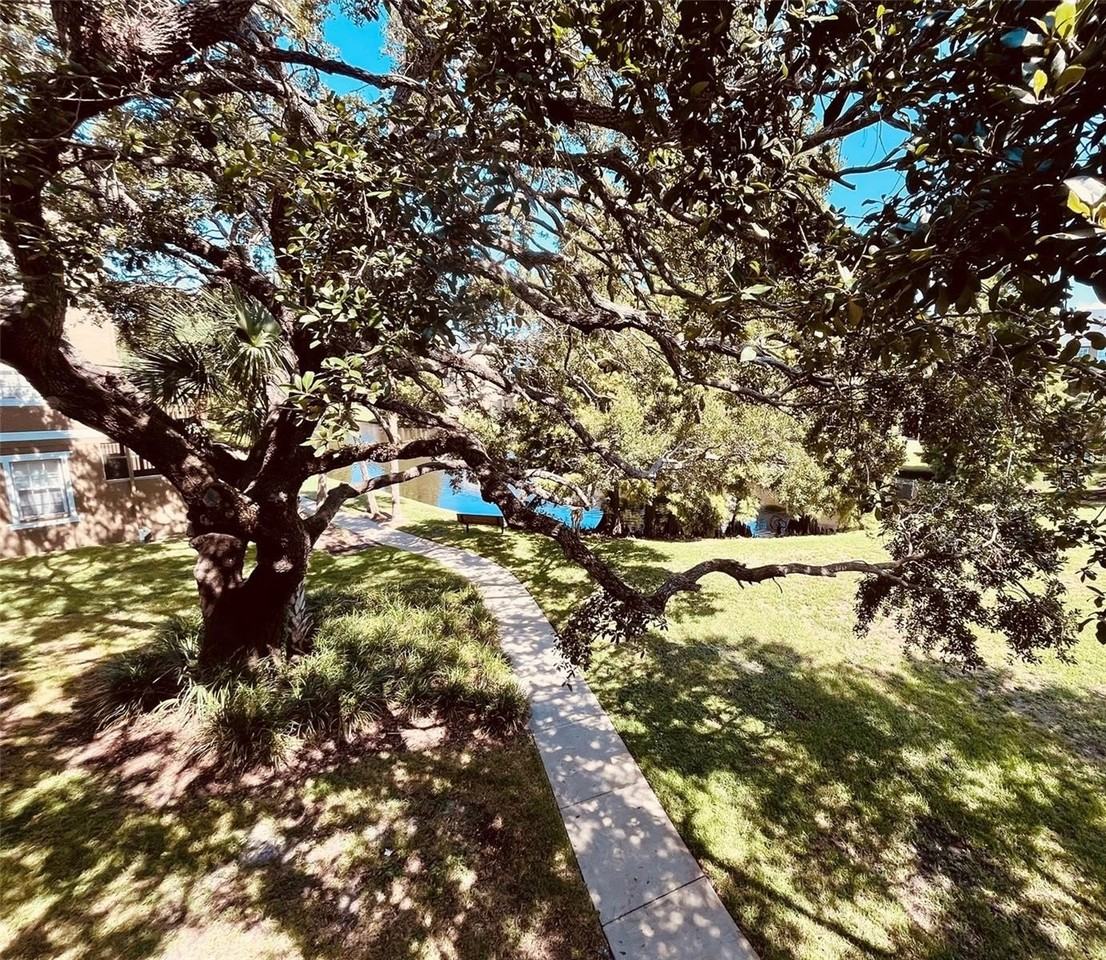 2915 Pointeview Dr - Photo 5 of 22